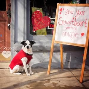 Meet your Posher, Andie